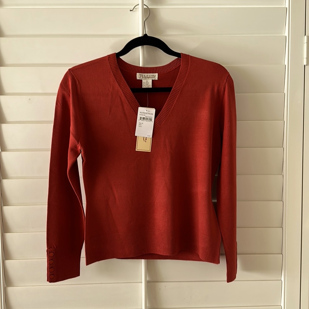 V-neck pull over sweater with buttoned sleeve details, Size: M Color:Red Earth